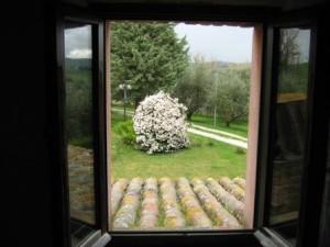 B&B-pozzo-vivalpa-ancona-jesi-serra-de-conti-campagna-relax-camera-ospiti-giardino-guestroom-garden