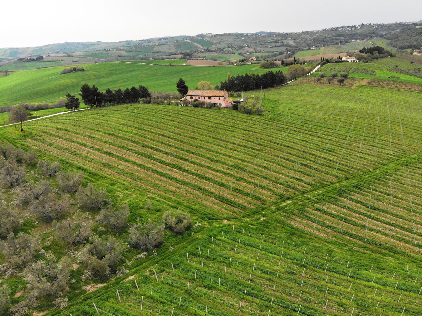 Pozzo-vivalpa-B&B-marche-ancona-serra-de-conti-senigallia-countryside-wine-olives-oil-italy